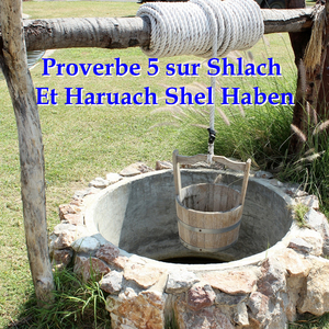 Proverbe 5 sur shlach et haruach Shel Haben