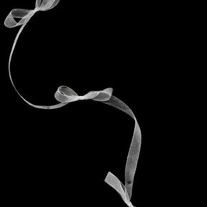 你就不要想起我