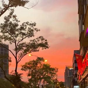 斑马斑马6网易已用