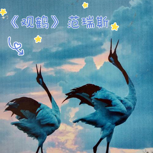 观鹤 范瑞斯（cover小时姑娘）