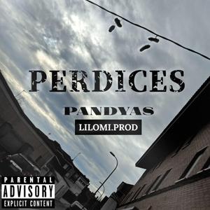 Perdices (feat. lilomiprod)