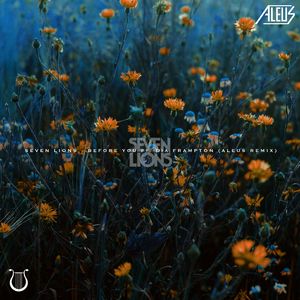 Before You (Aleus Remix)