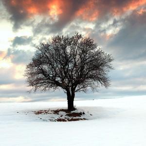 太阳不必留恋萤火之光