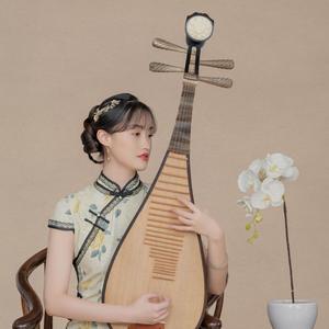 秦淮景 琵琶弹唱