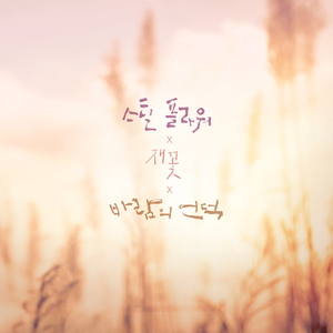 위로의 춤 (재꽃)