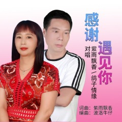 感谢遇见你 (缺女声版)(Live)