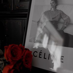 竖琴与自然音里的萌宠治愈