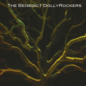 Shells from the Shore