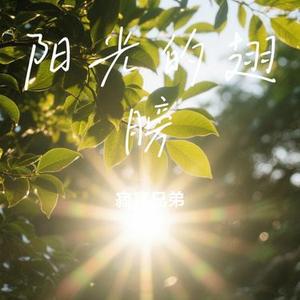 阳光的翅膀