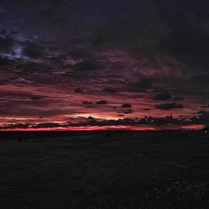 through the grapevine