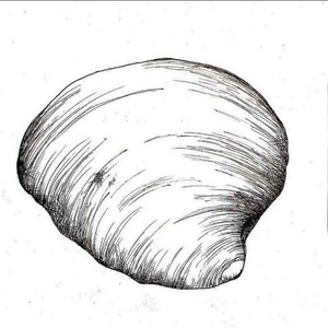 怀抱prod byFlowless