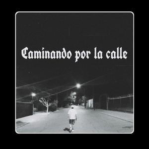 Caminando por la calle