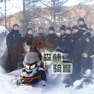 森林骑警