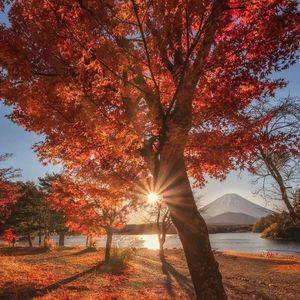 揉光（下一站，上岸）