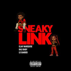 SNEAKY LINK