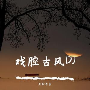 十年人间（戏腔DJ版）