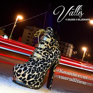 Kaunis mut vaarallinen (feat. Kaleksi & Veljeskunta)