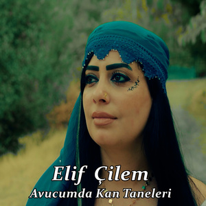 Avucumda Kan Taneleri