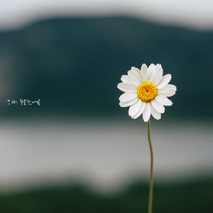 그대, 수고했어요