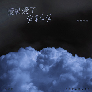 爱都爱了分就分 (DJ版)