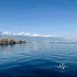 浅忆微凉 (安神助眠扬琴)