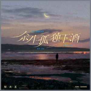 余生孤独下酒 (DJ彭锐版)