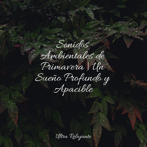 Escribiendo Al Atardecer