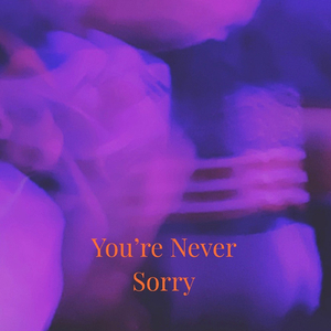 YNS (You`re Never Sorry)
