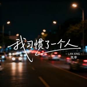 我习惯了一个人