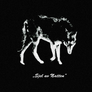 En Natt Med Storm Og Ravners Skeik