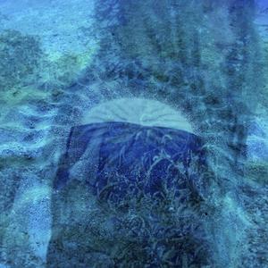 feel like, nevermind