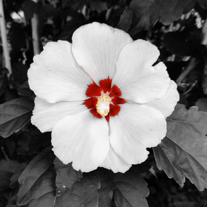 The Art Of Falling Apart