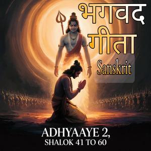 Bhagavad Gita Adyaaye 2 Shalok 41 se 60 sanskrit mein jarur suno