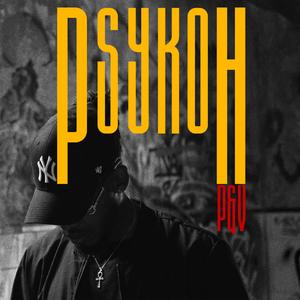 P&V (Presidente e Vice)