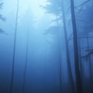 Whispers from Beyond (Majestic)
