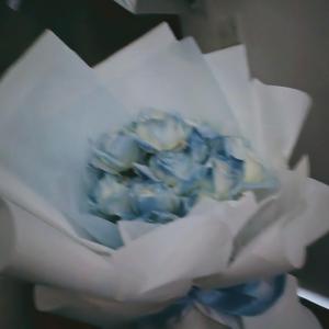 在海边做个梦吧