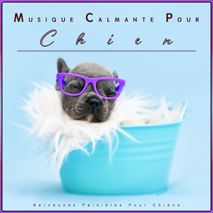 Musique Calmante Pour Chiens