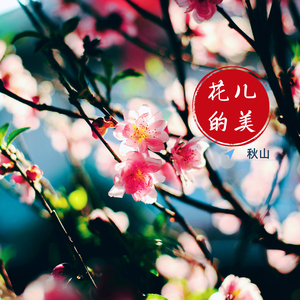 他总是一个人在路上