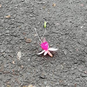 I hit the ground humming