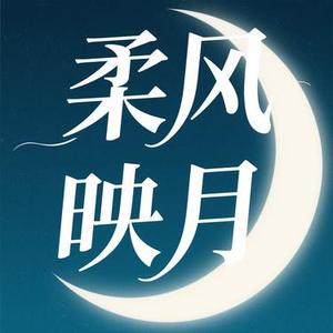 柔风映月