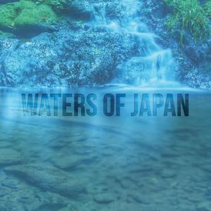 Yakushima Island Water Forest