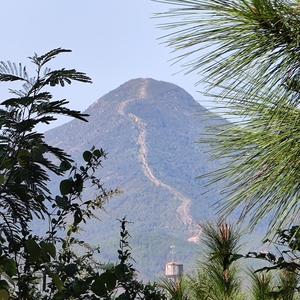 痴情(prod.young oz)