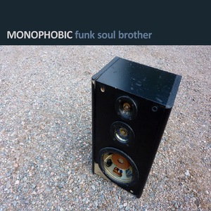 Funk Soul Brother