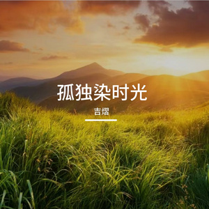 孤独染时光