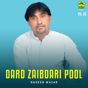 Dard Zaibdari Pool