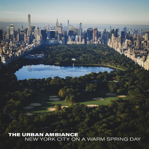 The Sun is Out in NYC