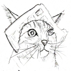 Pengutip Taik Kucing