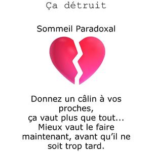 Sommeil paradoxal — Ça détruit