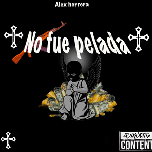 No Fue Pelada