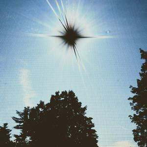 Lost But Not Forgotten